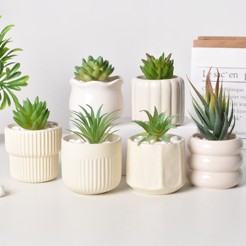 Aloe Vera Pot - Pot Tanaman Sukulen Keramik Self-Watering, Pot
