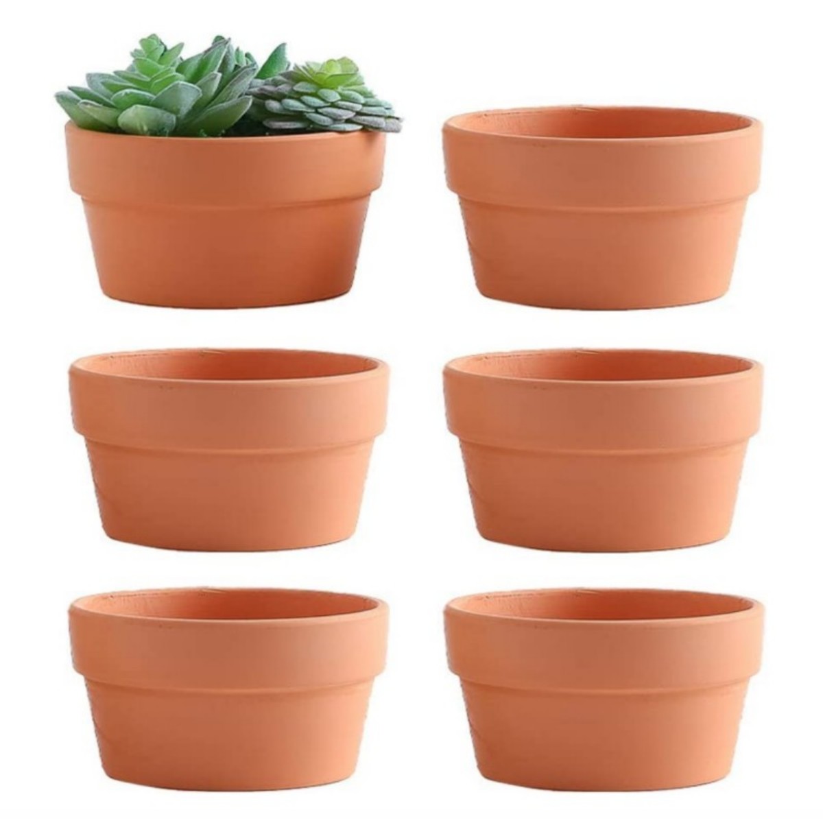 Aloe Vera Pot - 6 buah pot terakota Buld 3.5