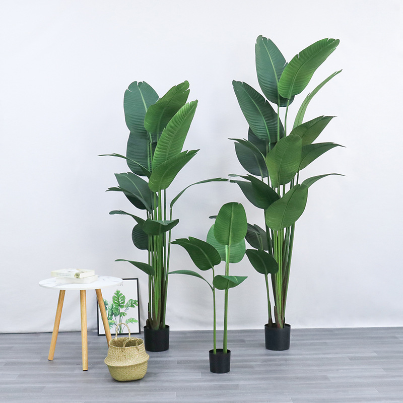 Bird Paradise Strelitzia - Pot Plastik Buatan ​ Tanam Burung