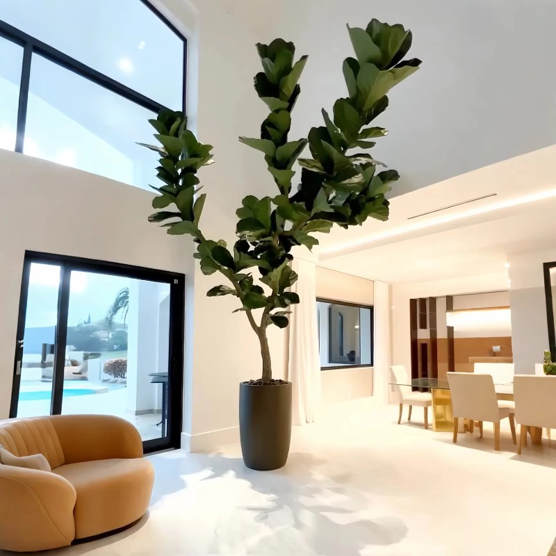 Ficus Lyrata Tree - Tanaman Buatan Tanaman Pot Dalam Ruangan