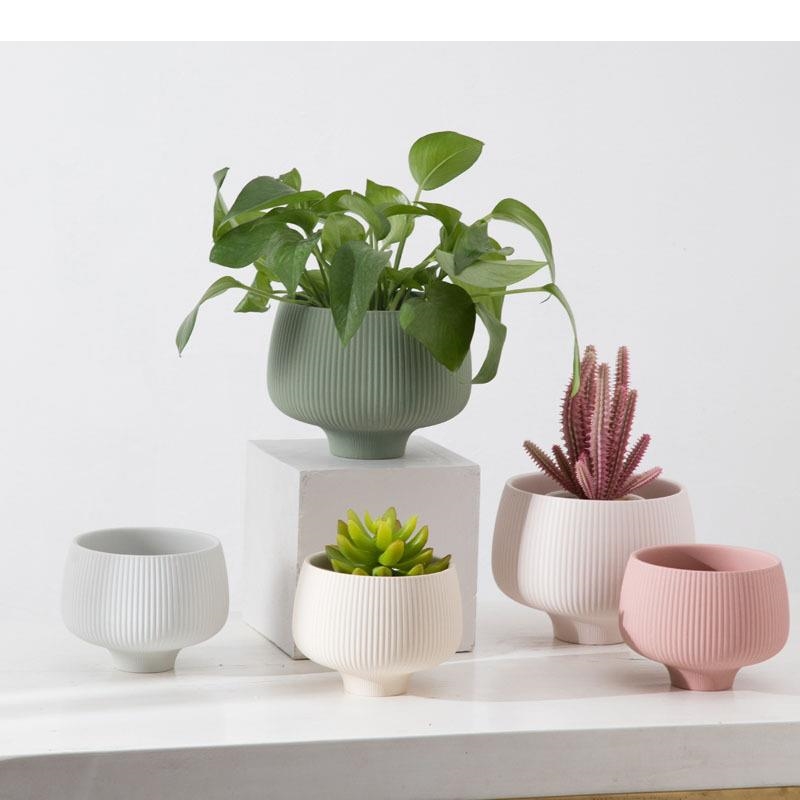 Aloe Vera Pot - Vas Keramik Garis-garis Multiwarna Pot Tanaman