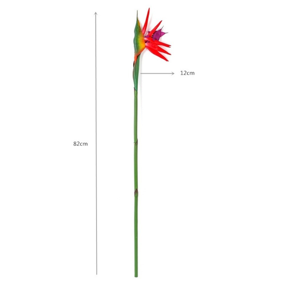 Bunga Strelitzia Buatan dengan - Bird Paradise Strelitzia ulasan dan harga