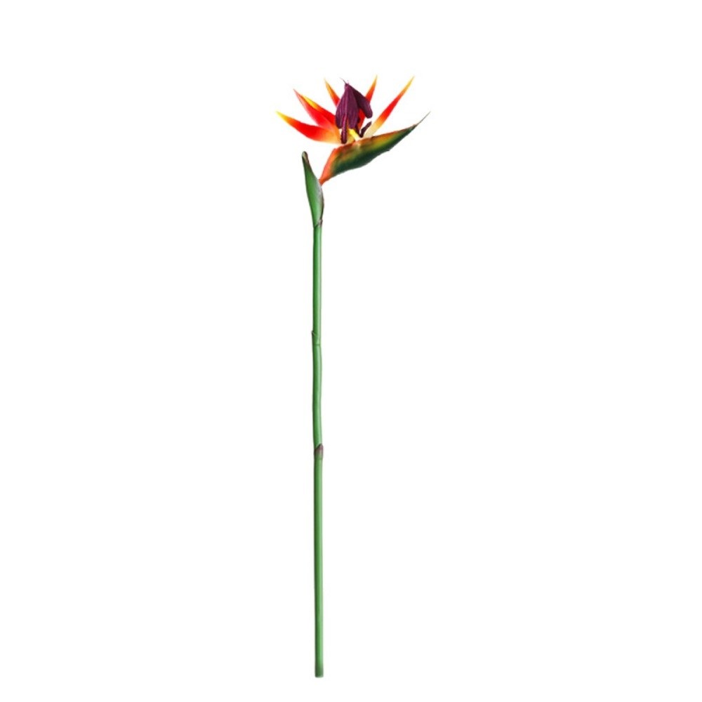 Bunga Strelitzia Buatan dengan - Bird Paradise Strelitzia ulasan dan harga
