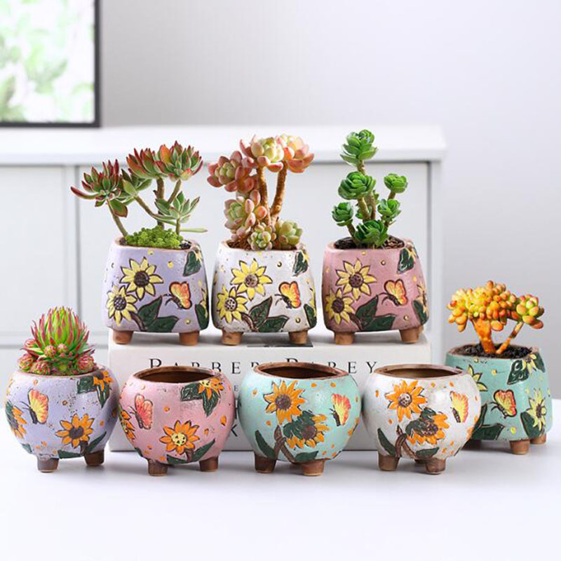 Pot Tanaman Sukulen Pola Bunga - Echeveria Succulent ulasan dan harga