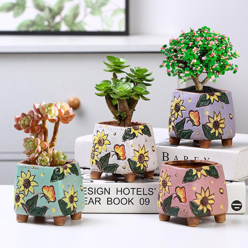 Pot Tanaman Sukulen Pola Bunga - Echeveria Succulent ulasan dan harga