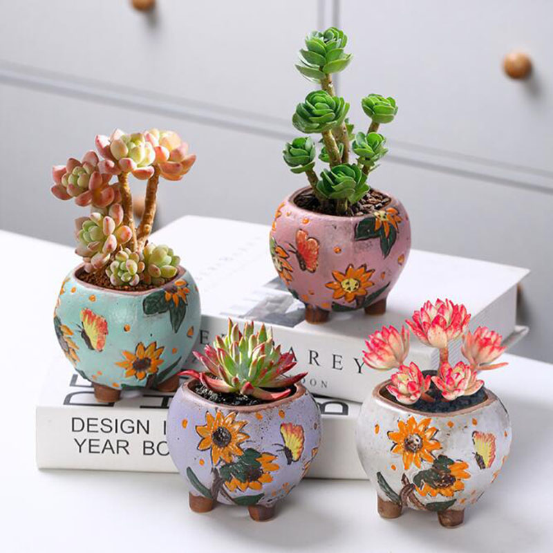 Pot Tanaman Sukulen Pola Bunga - Echeveria Succulent ulasan dan harga
