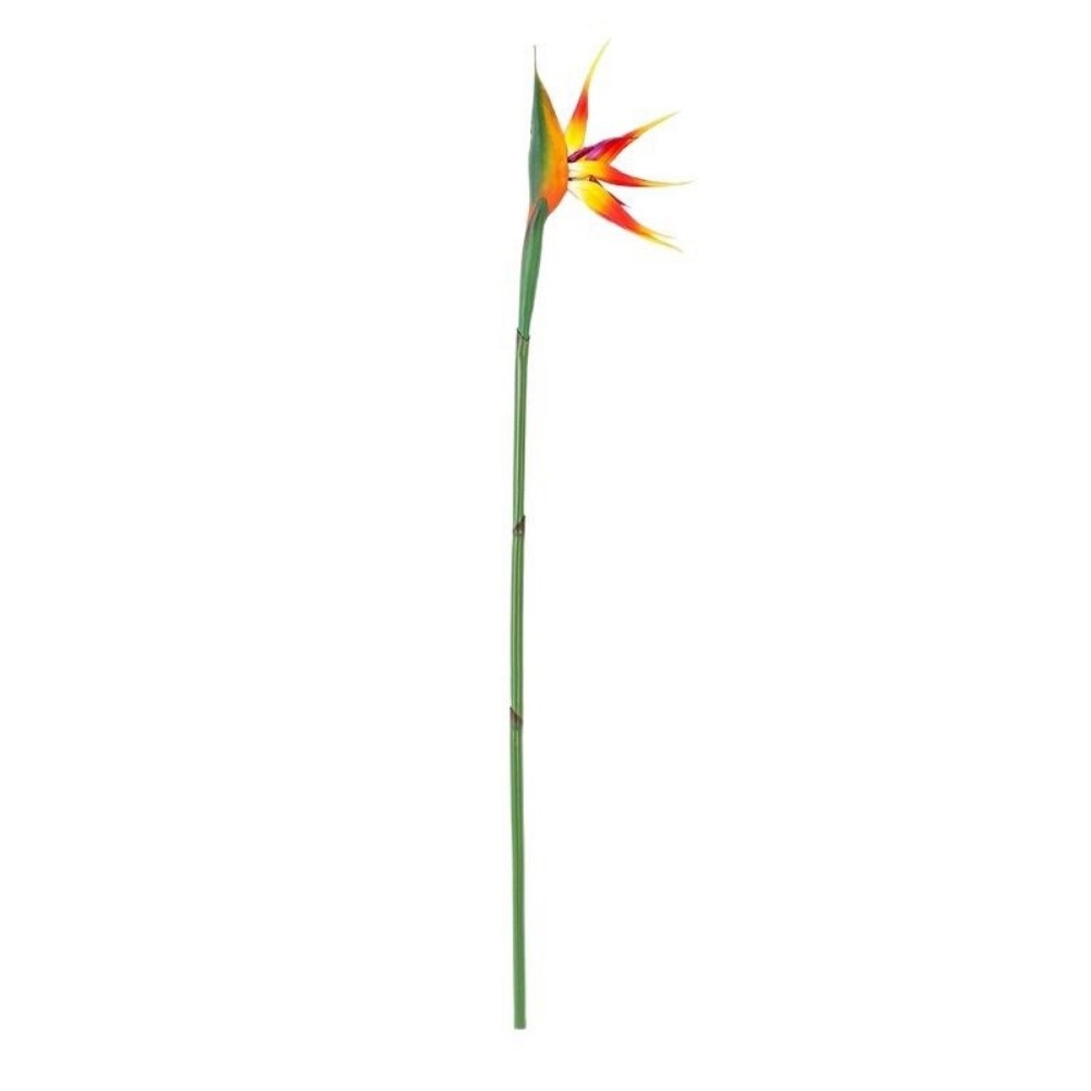 Tanaman Buatan Strelitzia Tang - Bird Paradise Strelitzia ulasan dan harga