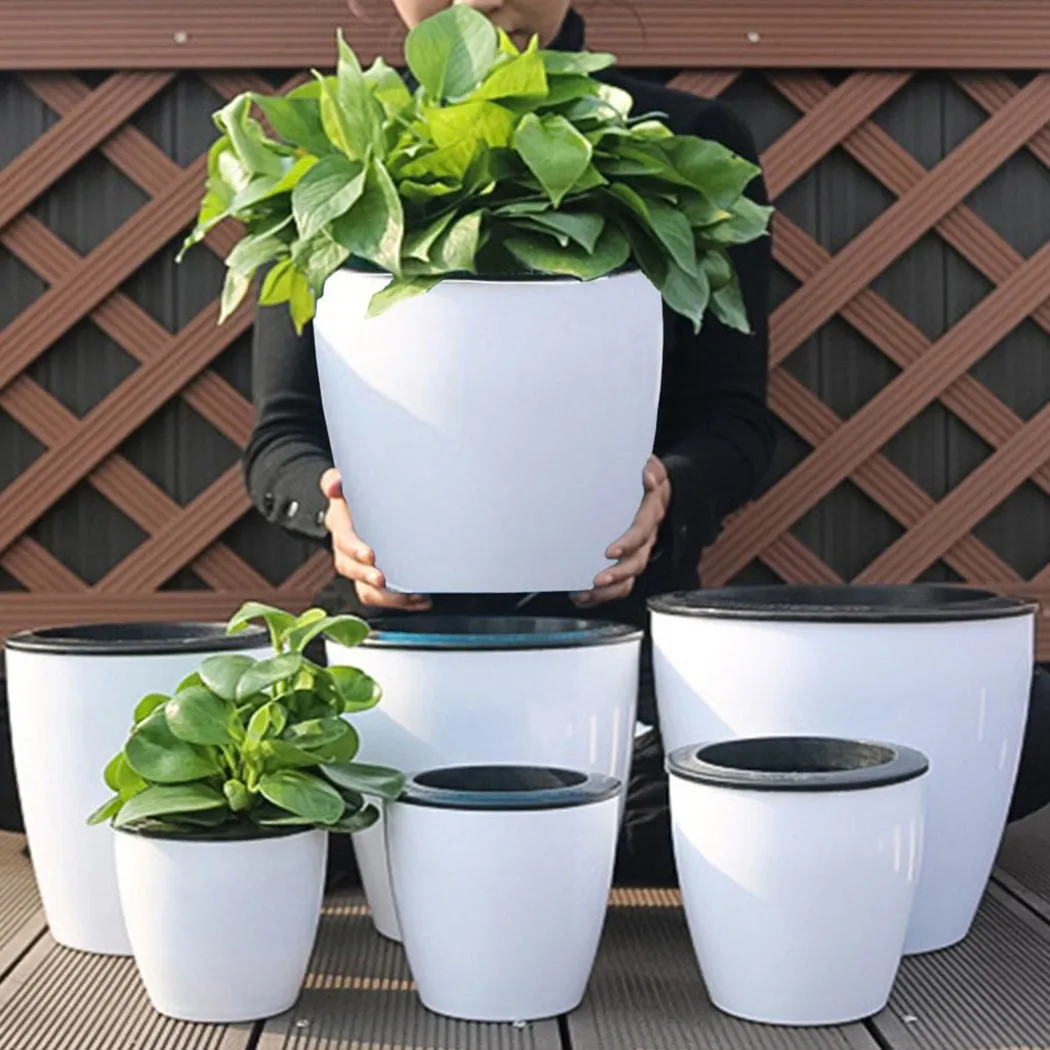 Malas Pot Bunga Diri Penyirama - Aloe Vera Pot ulasan dan harga