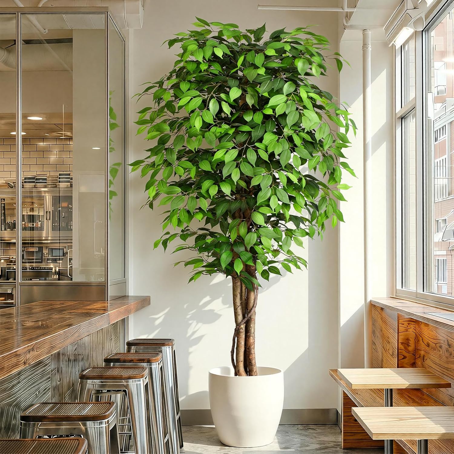 Pohon Ficus Buatan yang Mirip  - Ficus Lyrata Tree ulasan dan harga