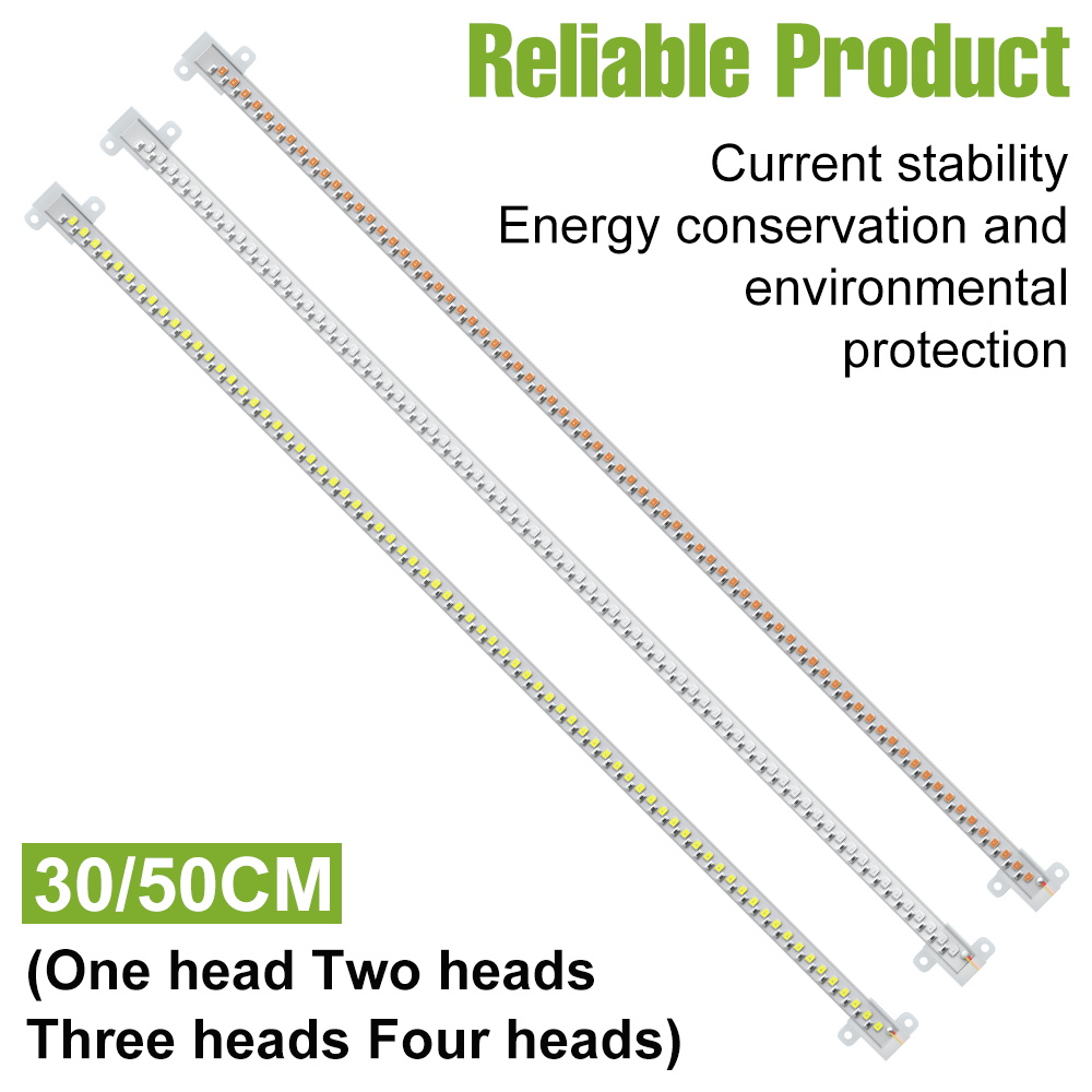 Lampu LED untuk Tanaman Indoor - Echeveria Succulent ulasan dan harga