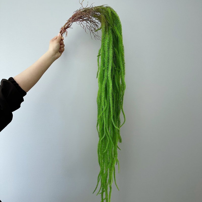 Jenggot Willow Buatan Serbagun - Monstera Adansonii ulasan dan harga