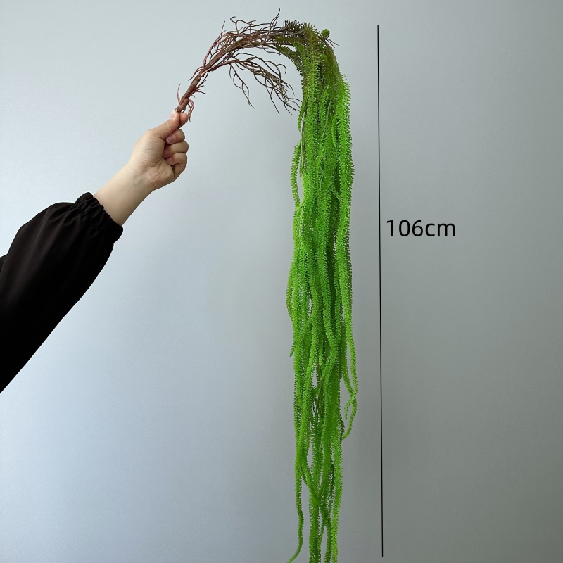 Jenggot Willow Buatan Serbagun - Monstera Adansonii ulasan dan harga