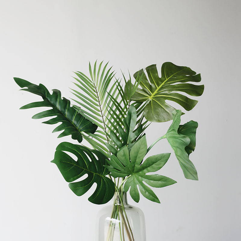 59CM daun kura-kura tanaman bu - Monstera Adansonii ulasan dan harga