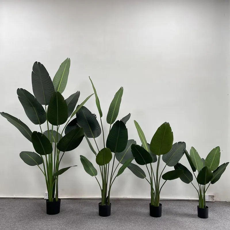 Pohon Strelitzia Buatan yang S - Bird Paradise Strelitzia ulasan dan harga