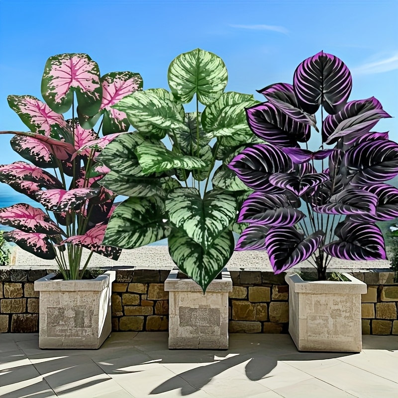 3 Buah 60Cm Set Tanaman Hijau  - Monstera Adansonii ulasan dan harga