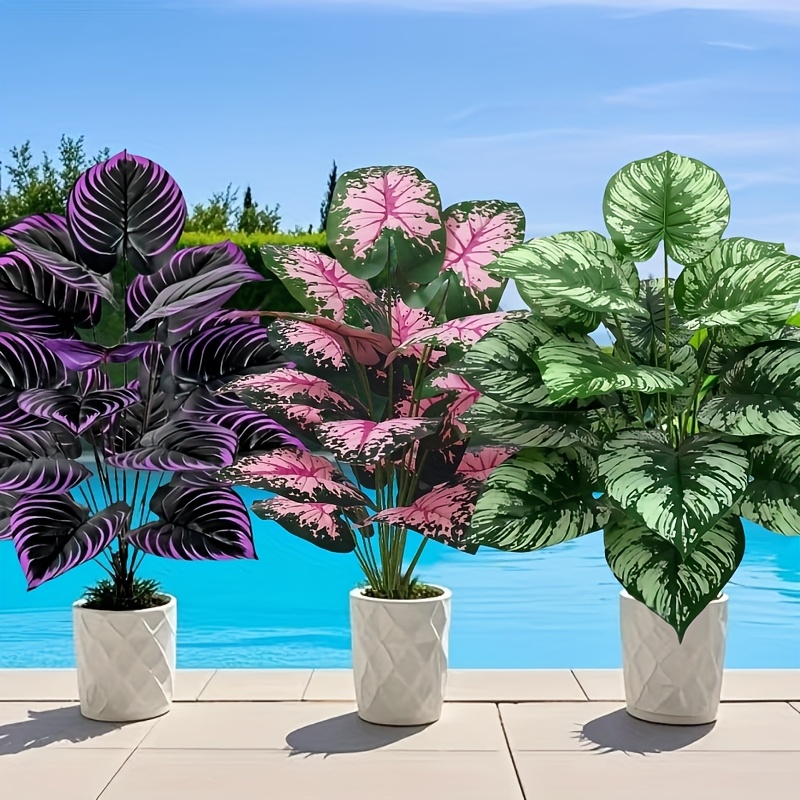 3 Buah 60Cm Set Tanaman Hijau  - Monstera Adansonii ulasan dan harga