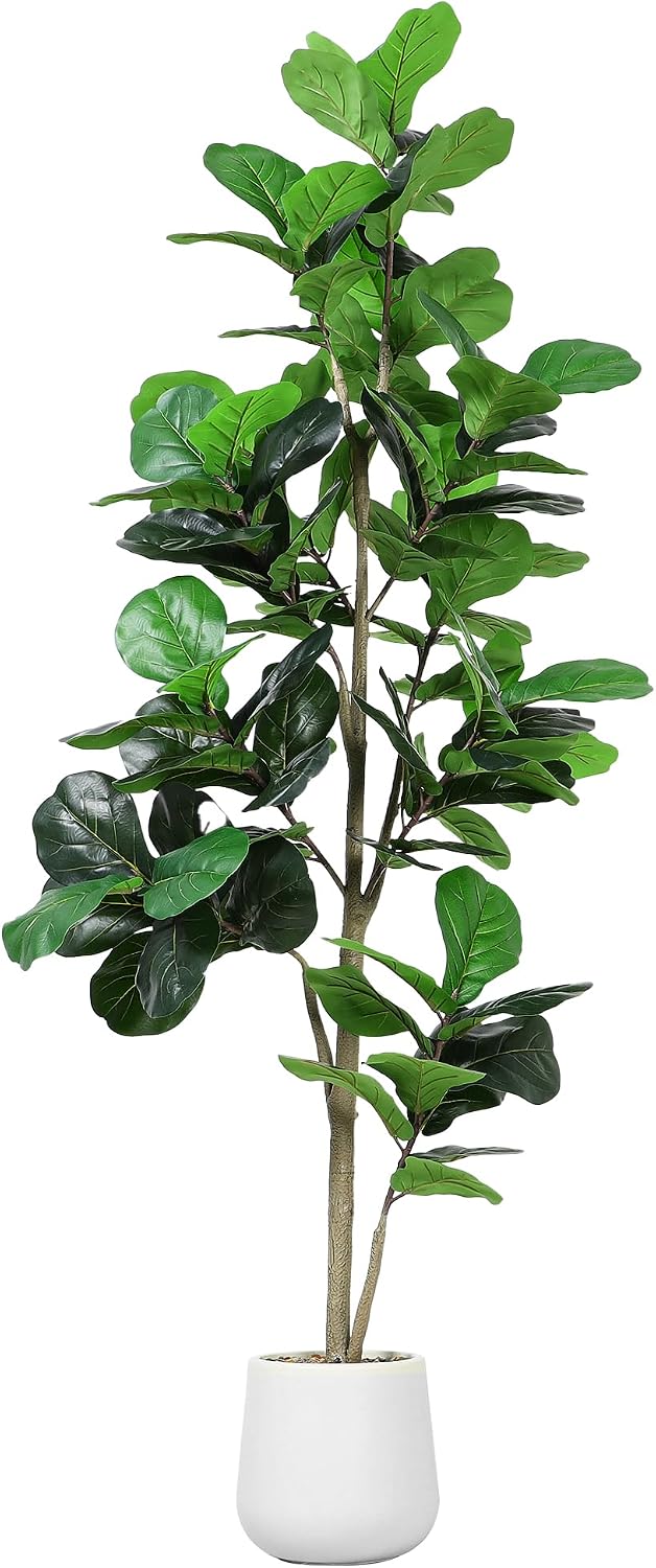 Pohon Ficus Lyrata Buatan 7 ka - Ficus Lyrata Tree ulasan dan harga