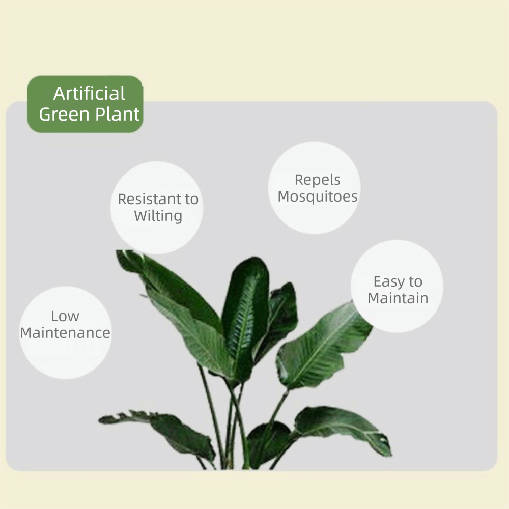 Pohon Ficus Plastik Hijau Ukur - Monstera Adansonii ulasan dan harga