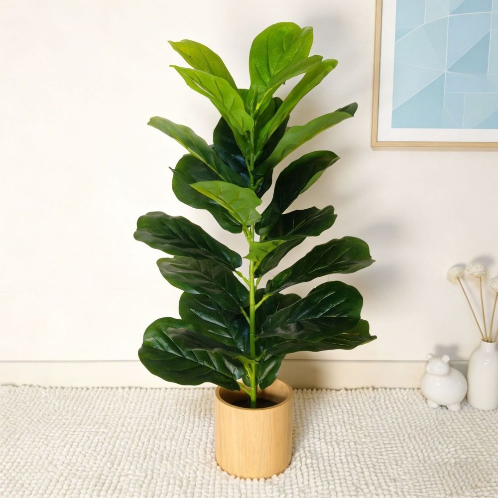 Pohon Ficus Plastik Hijau Ukur - Monstera Adansonii ulasan dan harga