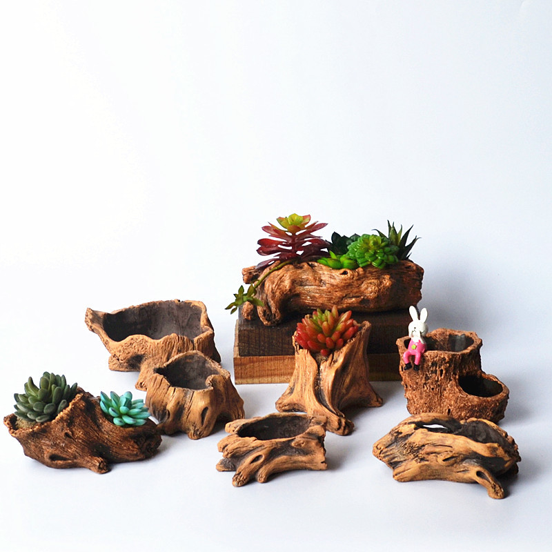 Pot tanaman pot bunga kreatif, - Echeveria Succulent ulasan dan harga