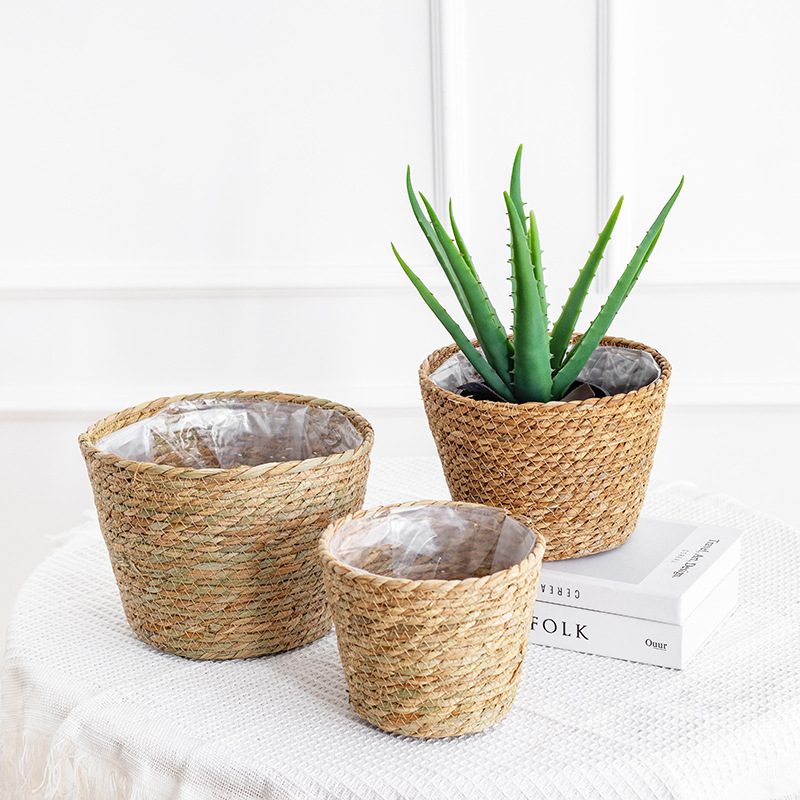 Keranjang Bunga Anyaman Alami, - Aloe Vera Pot ulasan dan harga
