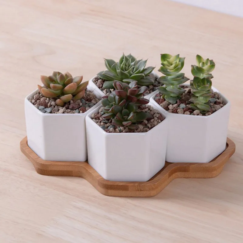 Set 4/7/9/10 Pot Bunga Segi En - Aloe Vera Pot ulasan dan harga