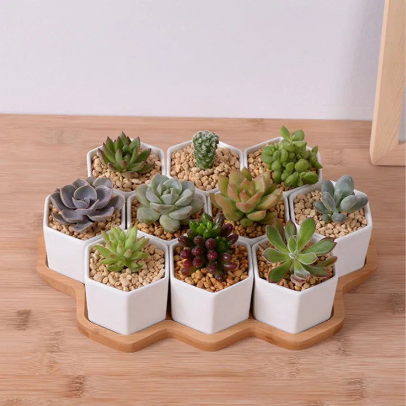 Set 4/7/9/10 Pot Bunga Segi En - Aloe Vera Pot ulasan dan harga