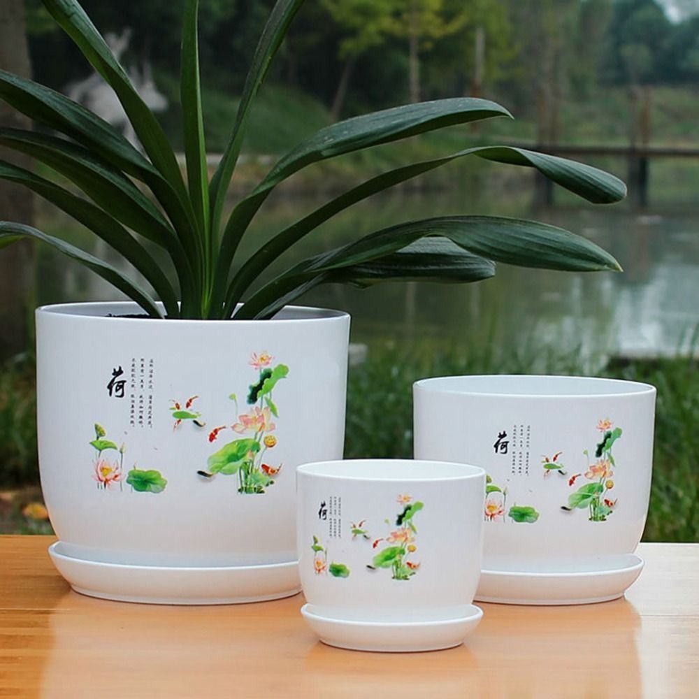 Pot Bunga Plastik Ekstra Besar - Aloe Vera Pot ulasan dan harga